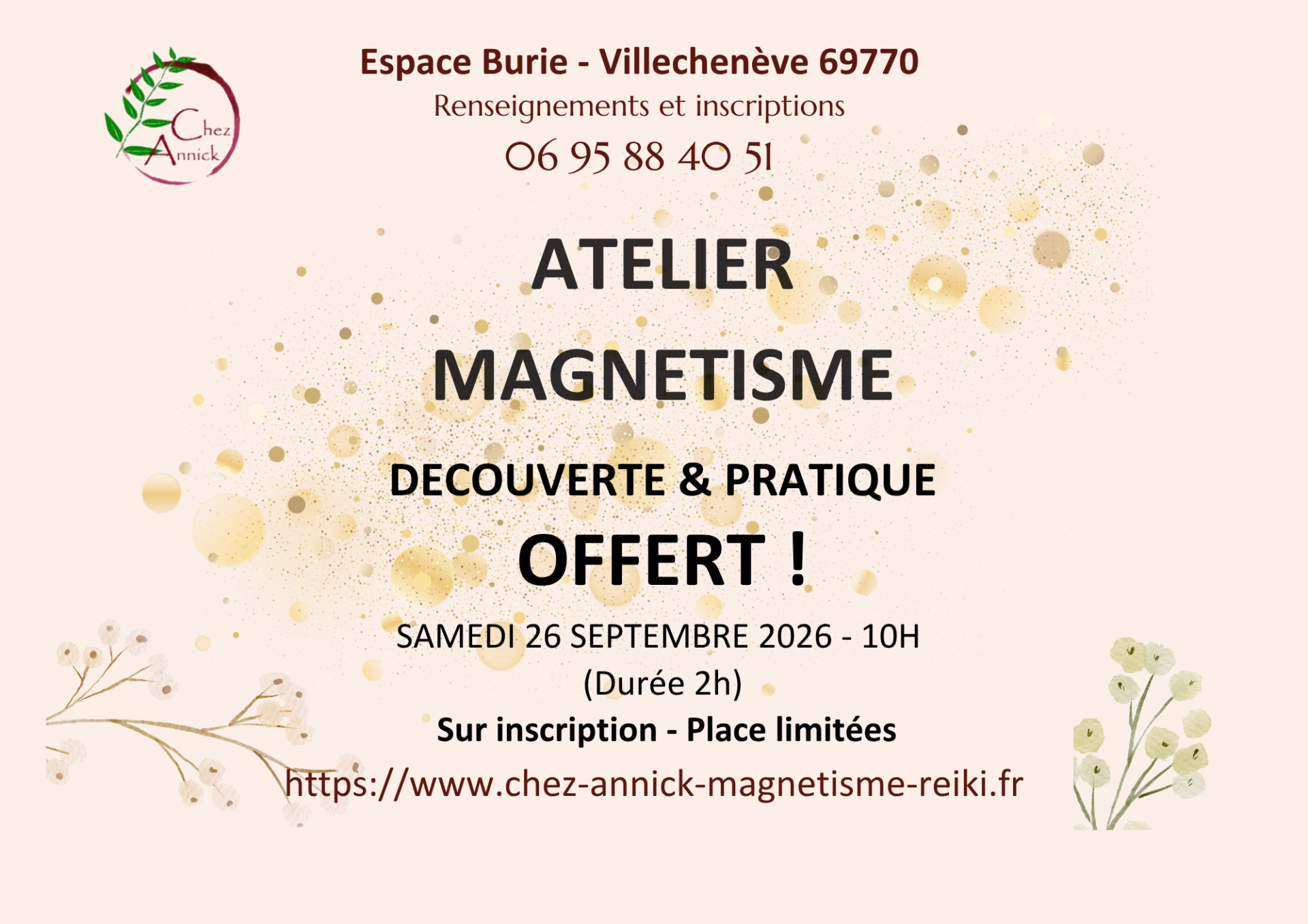 Atelier magnetisme offert